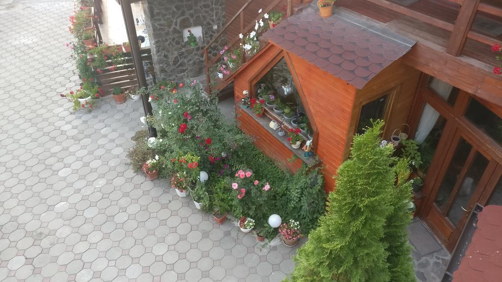 Pensiunea Liana Nemsa 외부 사진