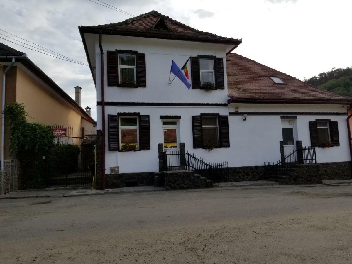 Pensiunea Liana Nemsa 외부 사진