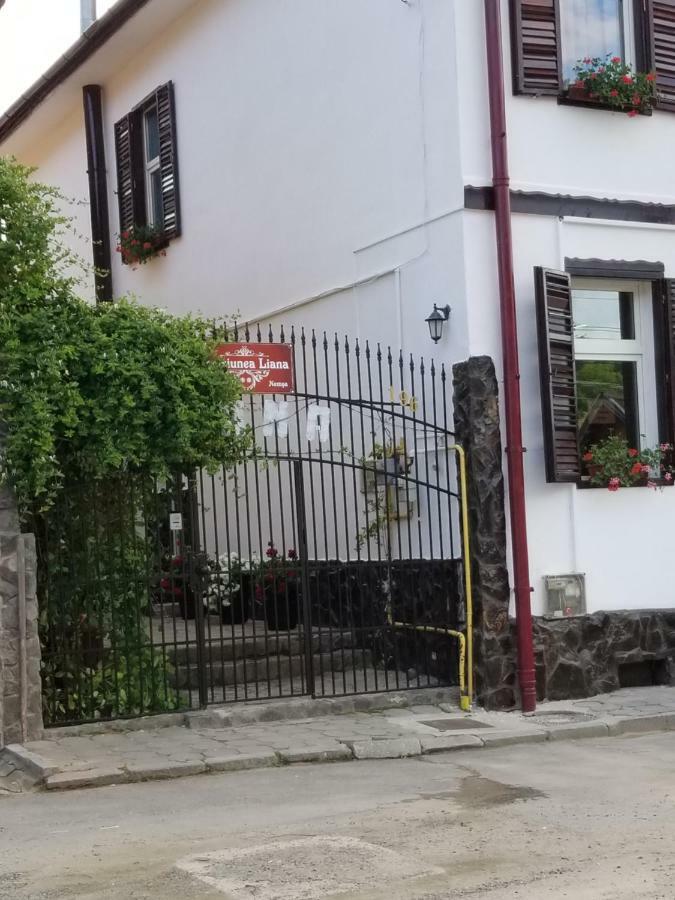Pensiunea Liana Nemsa 외부 사진